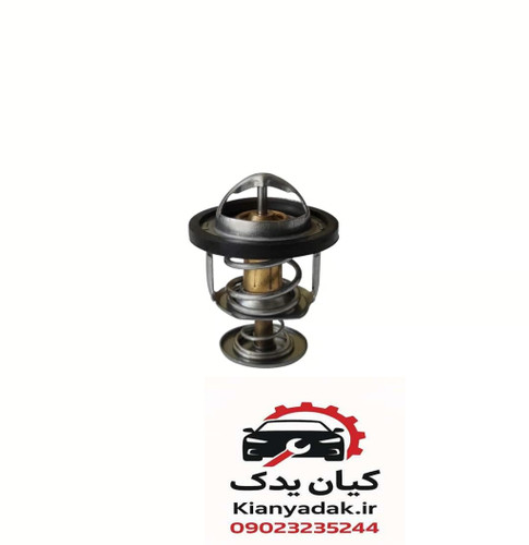 ترموستات ام وی ام 110s